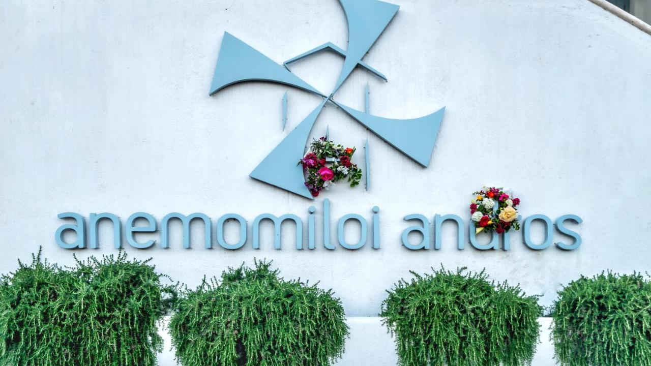 Hotel Anemomiloi Andros Exterior foto
